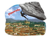 calamita piatta pinerolo